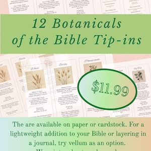 May include: A collection of 12 botanical illustrations from the Bible, presented as tip-ins. Each card features botanical information. The cards are approximately 3 inches by 8 inches. The text on the cards includes the phrase "12 Botanicals of the Bible Tip-ins".