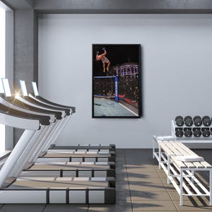 May include: A framed wall art print featuring a mixed martial arts fighter performing a backflip inside an octagon cage. The scene captures the athlete in mid-air against a dark background with stadium lighting and a visible Bud Light logo on the fence.