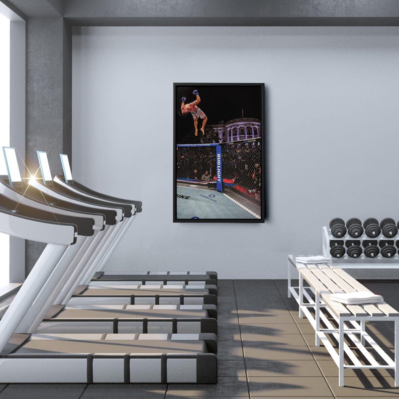 May include: A framed wall art print featuring a mixed martial arts fighter performing a backflip inside an octagon cage. The scene captures the athlete in mid-air against a dark background with stadium lighting and a visible Bud Light logo on the fence.