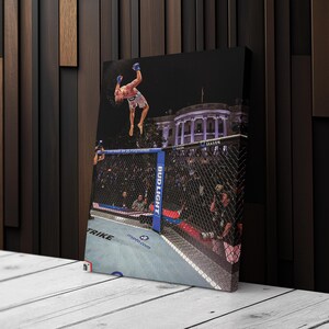 May include: A rectangular canvas print featuring a mixed martial arts fighter performing a backflip inside a chain-link octagon cage. The White House is visible in the background at night. The cage features blue padding with the text Bud Light.