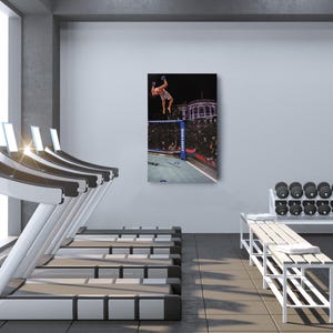 May include: A rectangular wall art print featuring a mixed martial arts fighter performing a backflip inside a chain-link octagon cage. The scene is set at night with stadium lights, a building in the background, and Bud Light branding visible.