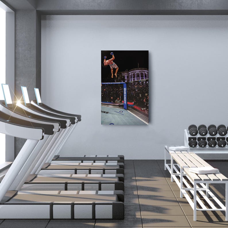 May include: A rectangular wall art print featuring a mixed martial arts fighter performing a backflip inside a chain-link octagon cage. The scene is set at night with stadium lights, a building in the background, and Bud Light branding visible.