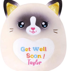 Peluches personalizados para desear pronta recuperación, regalo personalizado para desear pronta recuperación, regalo para niños, regalo para ella, regalo para él, regalo único para desear pronta recuperación, peluche de 30 cm