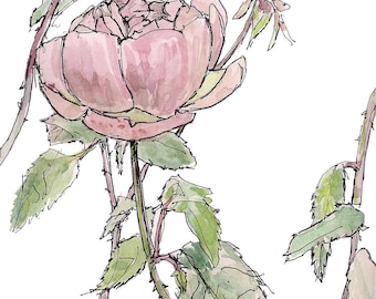 Pink rose watercolor painting, wall decor, children's room, fine art print, garden illustration, home & living 8.5x11