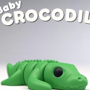 May include: A green toy crocodile with black eyes. The word "Baby" is above the word "CROCODILE" in white, bold letters. The toy is a solid, smooth, and rounded shape, with a segmented body and a textured spine.