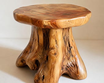 Taburete con forma de hongo de raíz de cedro – Taburete y mesa auxiliar rústicos de madera hechos a mano
