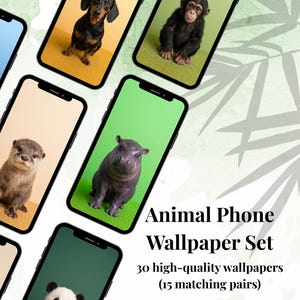 May include: A set of phone wallpapers featuring various animals, including a guinea pig, dachshund, chimpanzee, otter, hippo, and panda. The text reads "Animal Phone Wallpaper Set" with details about the number of wallpapers.