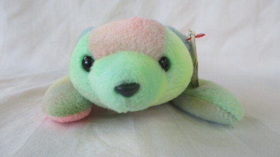 sammy beanie baby