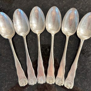 May include: Six silver spoons arranged in a row. Each spoon has an oval bowl and a long handle with a decorative shell design at the base. The spoons are made of a shiny, reflective metal.