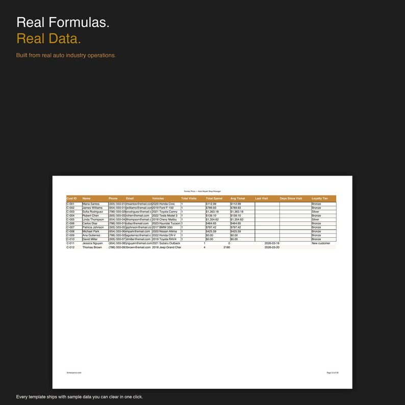 Auto Industry Professional — image 9