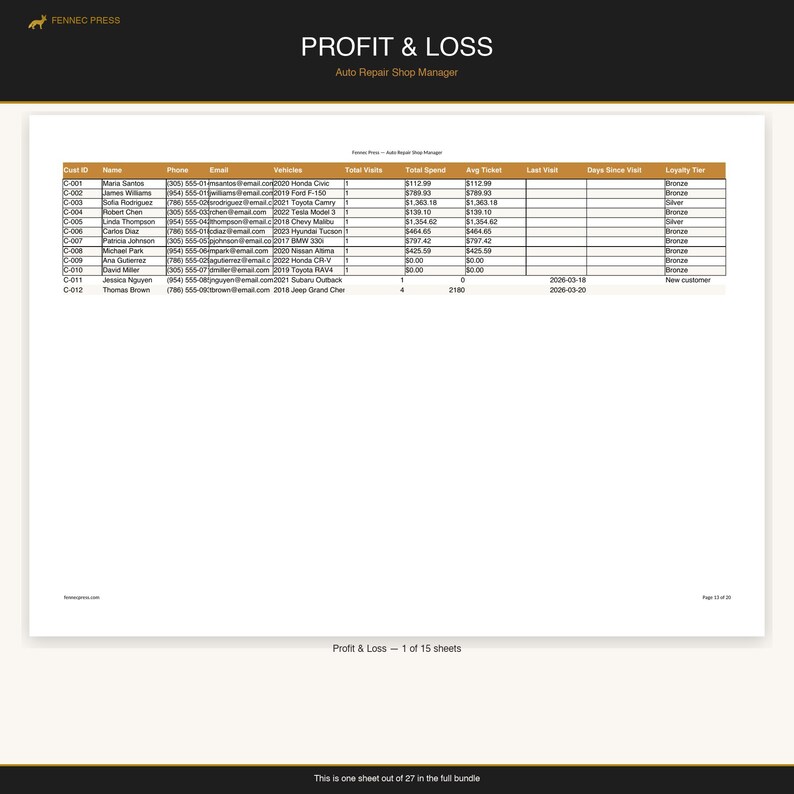 Auto Industry Professional — image 5
