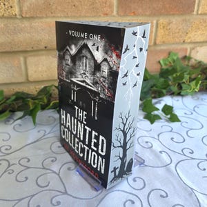 May include: A book titled The Haunted Collection Volume One by Lee Mountford with a black and white cover featuring a dark house, red accents, and a side spine illustration of a bare tree, a tombstone, and birds flying under a lightning bolt.