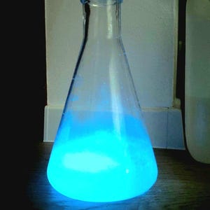 Bioluminescent Algae Kit – Glow in the Dark Dinoflagellates (Pyrocystis lunula) – DIY Science Kit