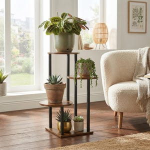 May include: A tiered plant stand with a black metal frame and four circular wooden shelves. The stand holds five potted plants, including a large green leafy plant, a terracotta pot, a patterned ceramic pot, and two smaller succulent pots.