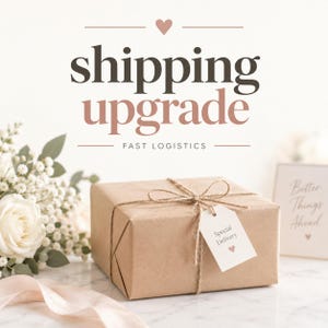 May include: A brown paper wrapped gift box tied with twine and a white tag labeled Special Delivery with a small heart icon. The text shipping upgrade and fast logistics appear above the box, accompanied by white roses and baby's breath.