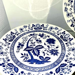 Vintage Blue Onion Pattern Dinner Plates Set, 18 Piece Tableware (For Display Only)
