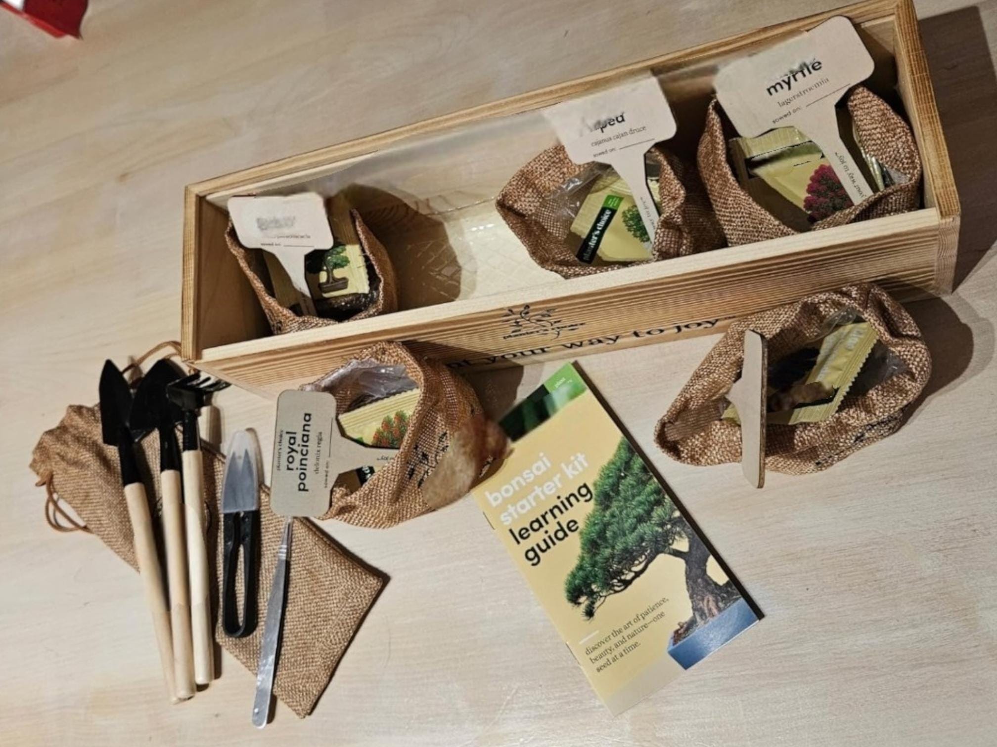 Deluxe Bonsai Tree Starter Kit with 5 Varieties - Indoor DIY Bonsai Growing Kit with Tools, Burlap Pots & Soil Discs, Easy Beginner Gift