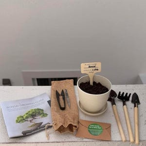 May include: A bonsai growing kit with a beige pot, soil, and a plant marker. Includes a booklet, small gardening tools, a burlap bag with scissors, and a seed packet. The text on the packet reads "Extra seeds for a rainy day!"