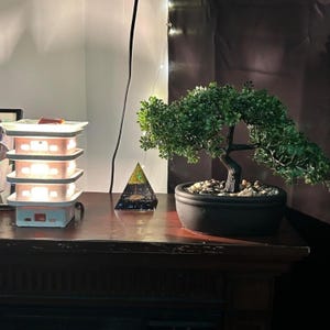 May include: A decorative display featuring a four-tiered wax warmer with lit compartments, a small bonsai tree in a black pot, and a pyramid-shaped ornament. The items are arranged on a dark wooden surface.