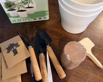 Jacaranda Bonsai Starter Kit Indoor Grow Set, DIY Bonsai Tree Kit with Seed Pots Soil & Tools, Beginner Friendly Plant Kit, Unique Gift Idea