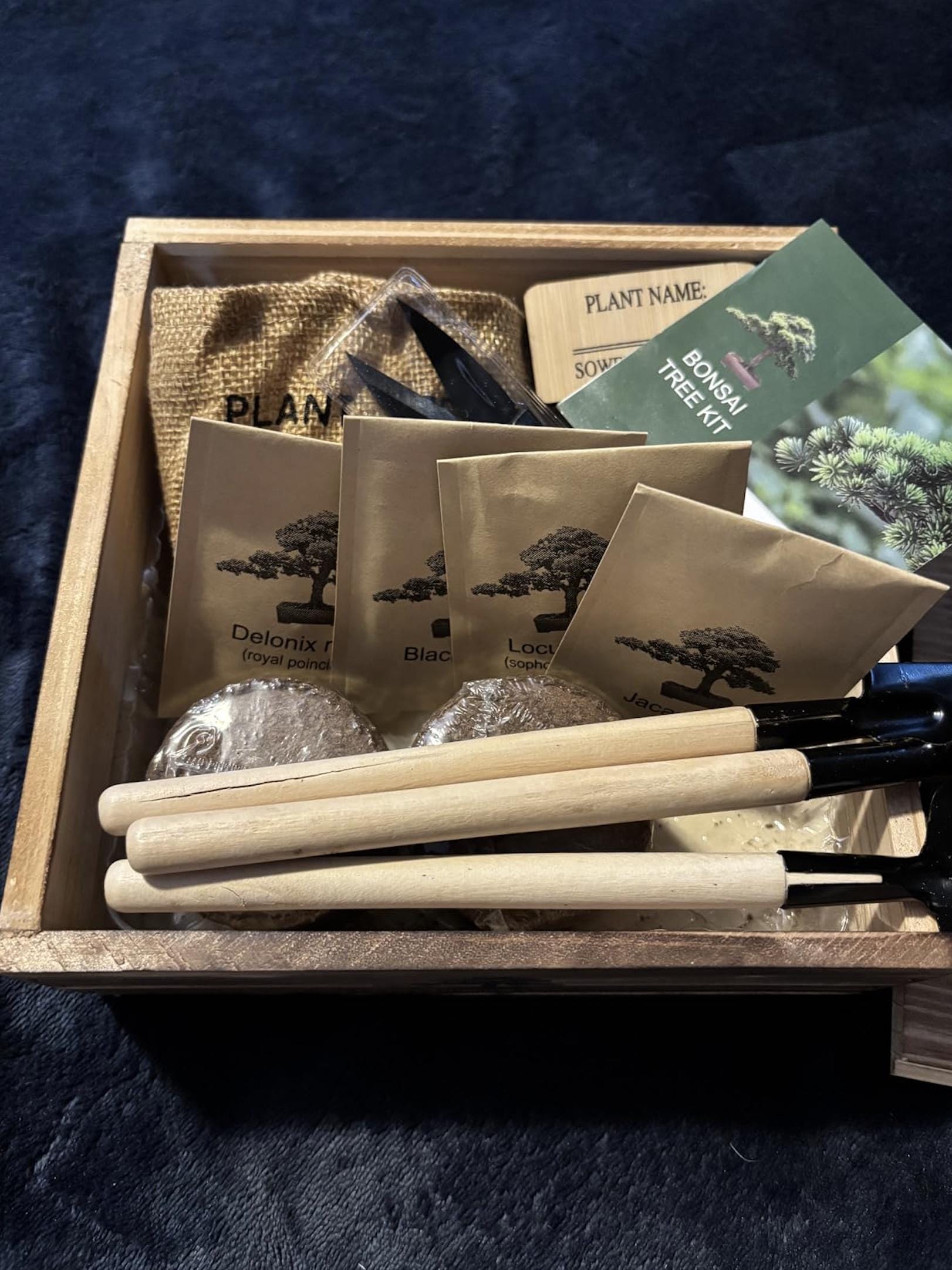 Bonsai Tree Starter Kit Indoor for Beginners - DIY Mini Tree Growing Kit with Wooden Box, Easy Bonsai Garden Set, Mindful Hobby Gift