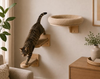 Ensemble de lit mural pour chat avec étagères d'escalade en bois Meubles de chat minimalistes pour chats d'intérieur Beige Perchoir mural moderne pour animaux de compagnie, décoration de salon