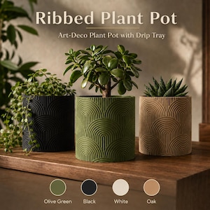 May include: Three cylindrical plant pots with a repeating arched ribbed pattern and matching drip trays. The pots are displayed in black, olive green, and oak colours, each containing a different green plant. Text reads Ribbed Plant Pot.