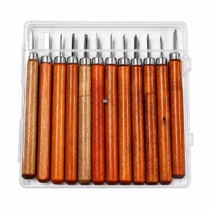 12PCS Wood Carving Chisel Set, Woodcut Knife Tools, SK2 Steel Woodworking Gouges, Craft Carving Kit for Beginners, DIY Wood Art
