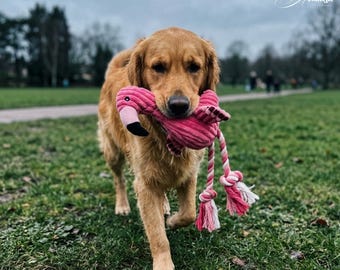 Juguete para perros con forma de flamenco / Juguete masticable de cuerda con sonido para perros