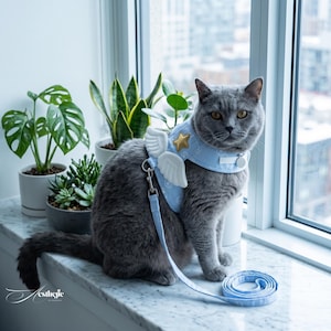 Può includere: Un gatto grigio indossa un'imbracatura azzurra con ali d'angelo bianche e una stella dorata. Il gatto è seduto vicino a una finestra con un guinzaglio abbinato. L'imbracatura e il guinzaglio sono decorati con piccoli motivi a nuvola. La parola "Aesthetic" è scritta in corsivo.