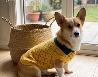 Jersey de punto para perros pequeños / Camiseta tipo jersey acogedora para mascotas