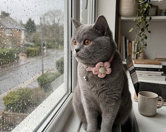 Adjustable Flower Cat Collar with Bell | Soft Floral Pet Accessory