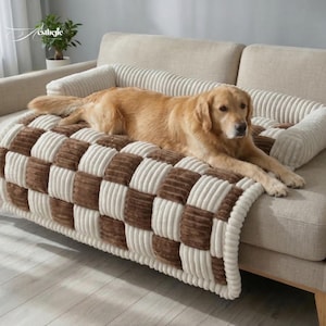 Puede incluir: Un perro Golden Retriever descansa sobre un sofá beige, sobre una cama para mascotas a cuadros marrón y crema. La cama tiene un borde acolchado elevado. La cama para perros está diseñada para proteger el sofá del pelo y los arañazos.
