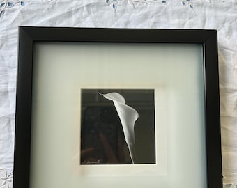 Signed Black & White Calla Lily Photograph | Shadow Box Frame | Vintage Wall Art | Floral Fine Art Print