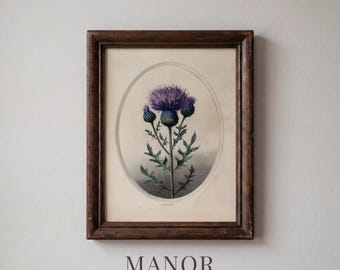 Vintage Botanical Thistle Illustration, Cottagecore Floral Art (Digital Download) 2406