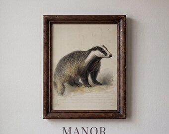 Vintage Badger Natural History Print, Antique Wildlife Illustration Printable Wall Art (Digital Download) 4012