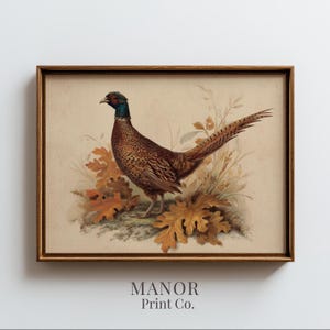 Puede incluir: Una lámina artística enmarcada con una ilustración detallada de un faisán de plumaje azul y marrón iridiscente, de pie entre hojas de roble doradas de otoño y hierbas altas. El texto Manor Print Co. aparece impreso bajo el marco.