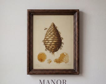 Vintage Beehive Natural History Print, Botanical Printable Wall Art (Digital Download) 1138