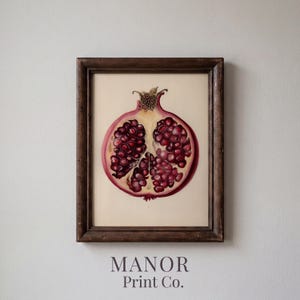 May include: A framed botanical print featuring a detailed illustration of a halved pomegranate with deep red seeds, set against a cream background. The artwork is enclosed in a dark brown wooden frame. The text MANOR Print Co. appears below.