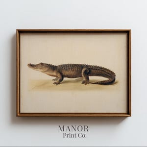Vintage Alligator Scientific Print, Antique Natural History Illustration Printable Wall Art (Digital Download) 2424