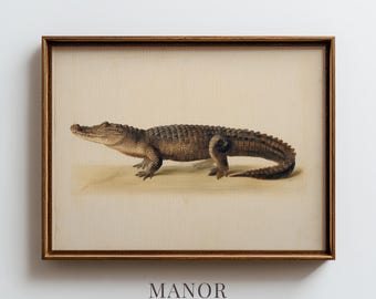 Vintage Alligator Scientific Print, Antique Natural History Illustration Printable Wall Art (Digital Download) 2424