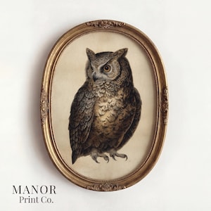 Vintage Owl Portrait, Naturalist Bird Specimen Print, Dark Academia Wall Art (Digital Download) 2649