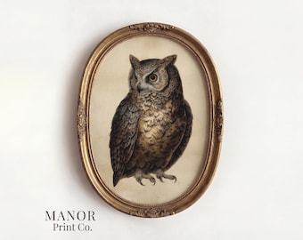 Vintage Owl Portrait, Naturalist Bird Specimen Print, Dark Academia Wall Art (Digital Download) 2649