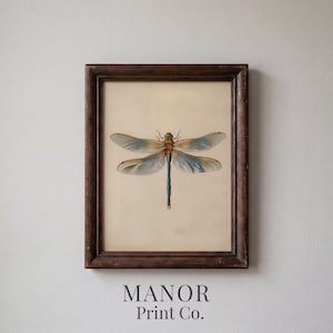 May include: A framed print featuring a detailed illustration of a dragonfly. The dragonfly has delicate blue and tan wings, a brown body, and a long, blue and green abdomen. The print is in a dark brown wooden frame, with the text "MANOR Print Co." at the bottom.