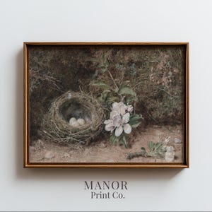 Vintage Bird Nest Painting, Apple Blossom Botanical Printable Wall Art (Digital Download) 891