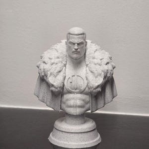 May include: A gray bust of a muscular figure with a fur-like collar and a cape. The figure has a stern expression and a circular emblem on the chest. The bust is mounted on a pedestal base.