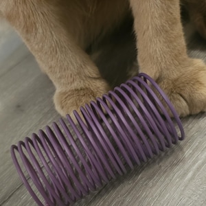 May include: A purple, coiled cat toy rests on a wooden floor, with the paws of a ginger cat in the background. The toy is a series of connected, circular loops, designed for feline play and exercise.