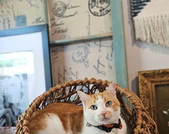 Hand Woven Cat Bed
