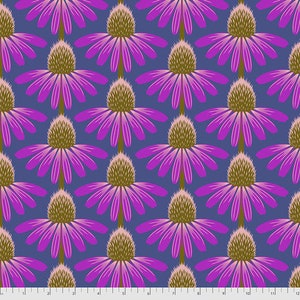 Love Always by Anna Maria Horner for Free Spirit - Echinacea - Haute - PWAH075 823