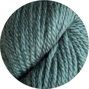 May include: A skein of teal blue yarn, a soft and fuzzy wool blend.